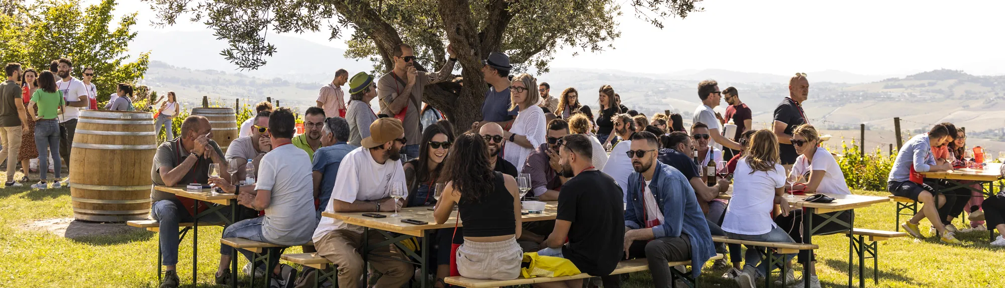 CasalFarneto-Eventi-Cantina